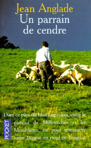 Un parrain de cendre