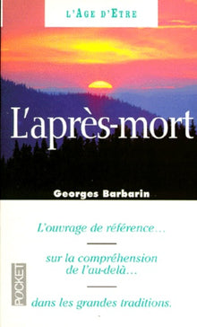 L'après-mort: Le grand problème de l'au-delà