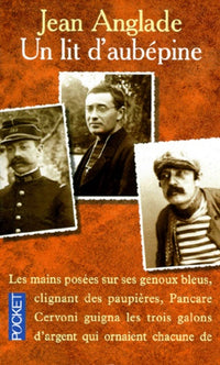 La Petite aux tournesols