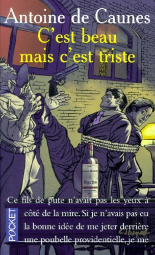 C'est beau mais c'est triste