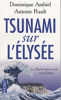 Tsunami sur l'Elysée: Pourvu que ce soit une fiction
