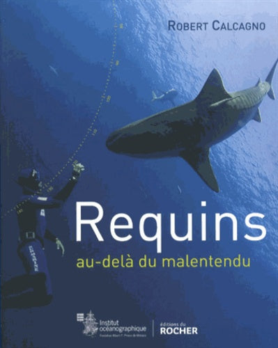 Requins: Au-delà du malentendu