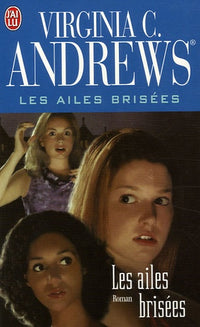 Les Ailes brisées, tome 1