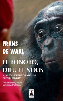 Le bonobo, Dieu et nous