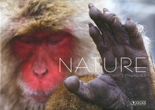 Nature, instants magiques