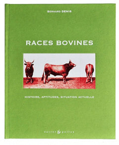 Races bovines en France : histoire, aptitudes, situation actuelle