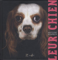 Leur chien