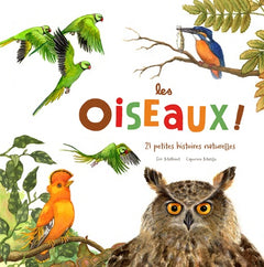 LES OISEAUX
