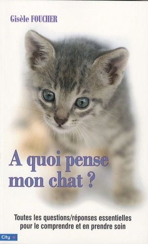 A quoi pense mon chat ?
