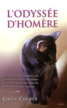 L'odyssée d'Homère