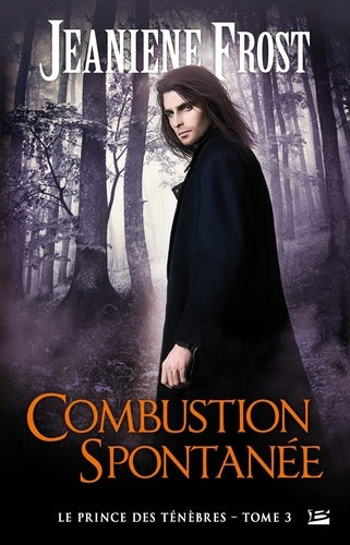 Le prince des ténèbres, T3 : Combustion spontanée