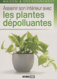 assainir son interieur avec les plantes depolluantes
