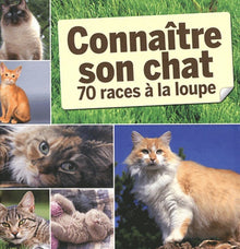 connaitre son chat  70 races a la loupe