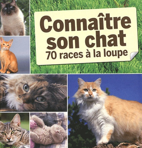 connaitre son chat  70 races a la loupe