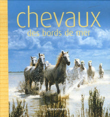 Chevaux des bords de mer