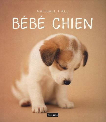 Bébé chien