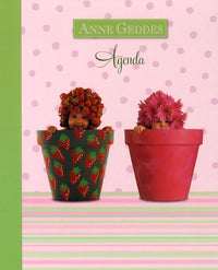 Agenda Anne Geddes