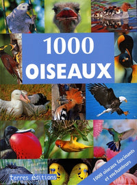 1000 oiseaux