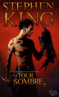La Tour Sombre, Tome 5 :