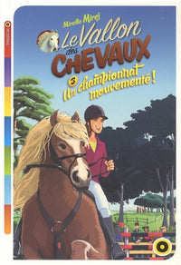 Un championnat mouvementé