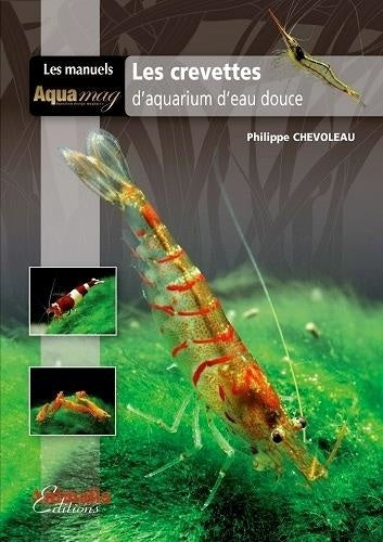 Les crevettes d'aquarium d'eau douce