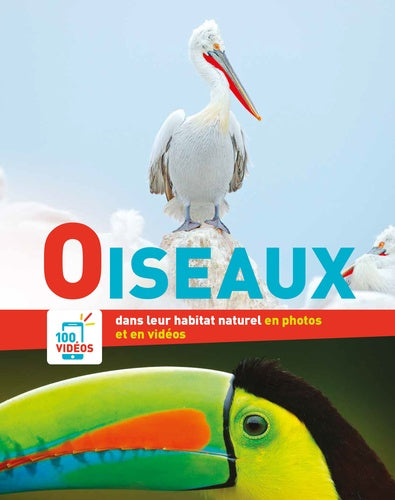 Oiseaux dans leur habitat naturel en photos et en vidéos