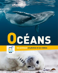 Océans : Les animaux dans leur habitat naturel en photos et en vidéos