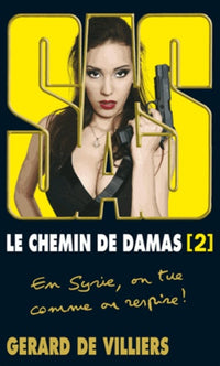SAS 194 LE CHEMIN DE DAMAS 2