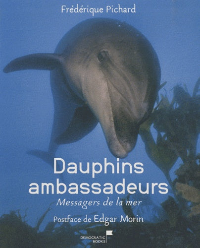 Dauphins ambassadeurs, Messagers de la mer