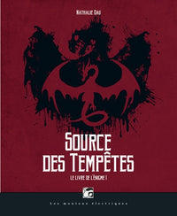 Le livre de l'énigme, tome 1: Source des tempêtes