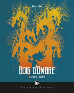 Le livre de l'énigme, tome 2: Bois d'ombre