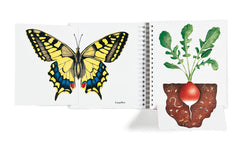 L'imagier des saisons