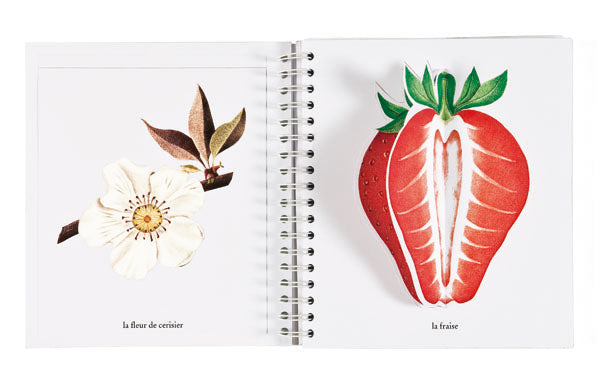 L'imagier des saisons