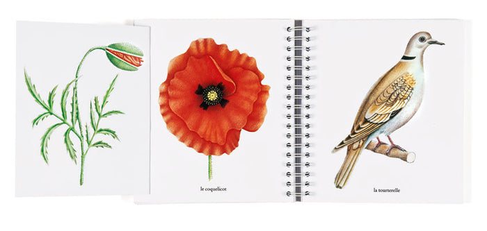 L'imagier des saisons