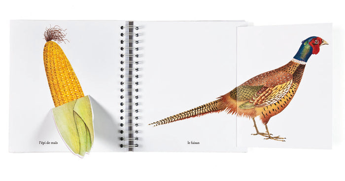 L'imagier des saisons