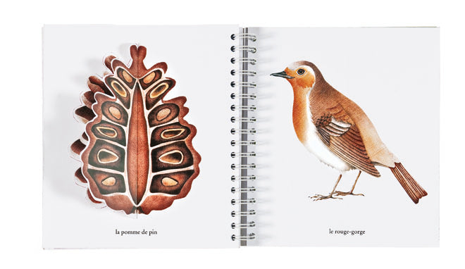 L'imagier des saisons