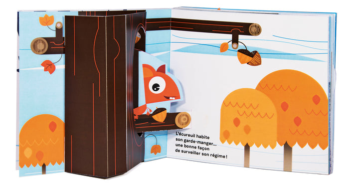 Les maisons des animaux