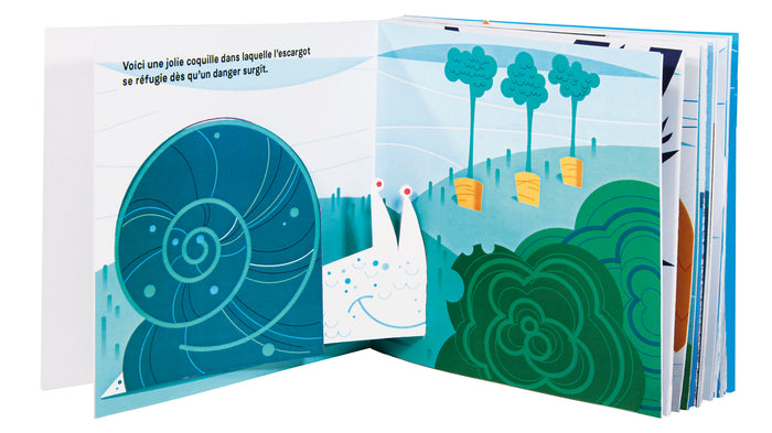 Les maisons des animaux