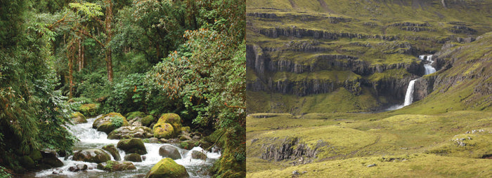 Du glacier au torrent