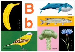 ABC de la nature