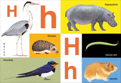 ABC de la nature