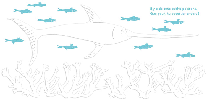 La mer au bout des doigts