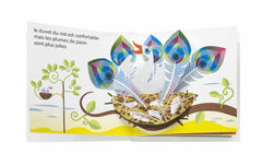 Les jolies maisons des animaux