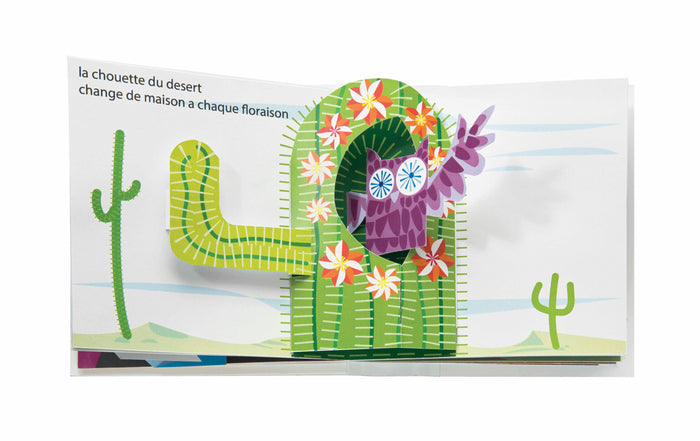 Les jolies maisons des animaux