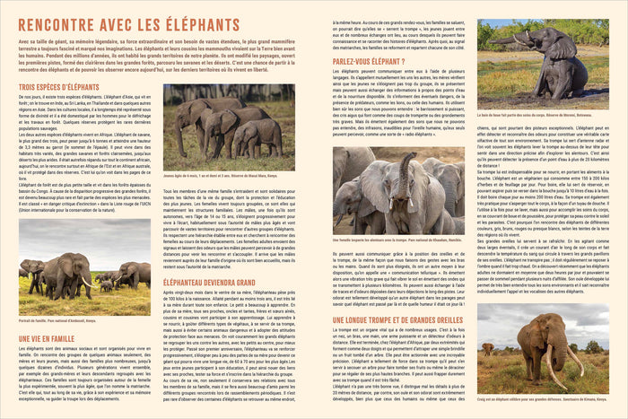 Avec les éléphants