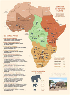 Avec les éléphants