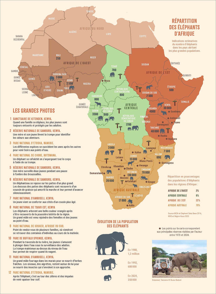 Avec les éléphants