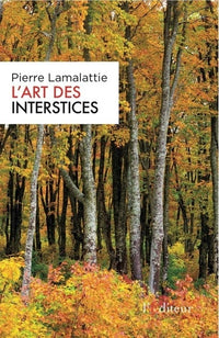 L'art des interstices