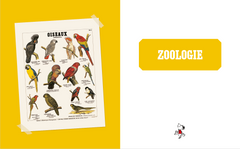 Mon carnet de curiosités avec Le Petit Nicolas et Deyrolle