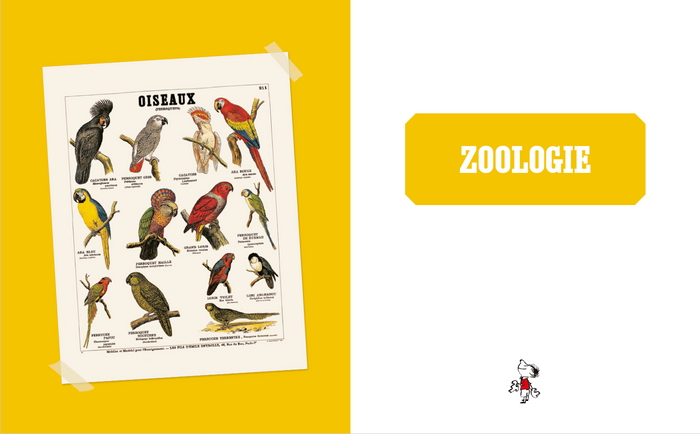 Mon carnet de curiosités avec Le Petit Nicolas et Deyrolle